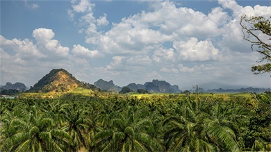 Just in a dream Place